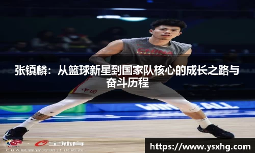 张镇麟：从篮球新星到国家队核心的成长之路与奋斗历程